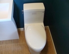 modern toilet Westminister